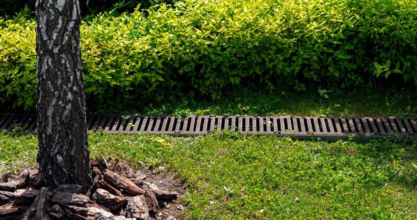 Coladera pluvial colocada en jardín