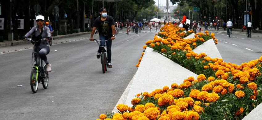 Camellón en Paseo de Reforma decorado con flores de cempasúchil